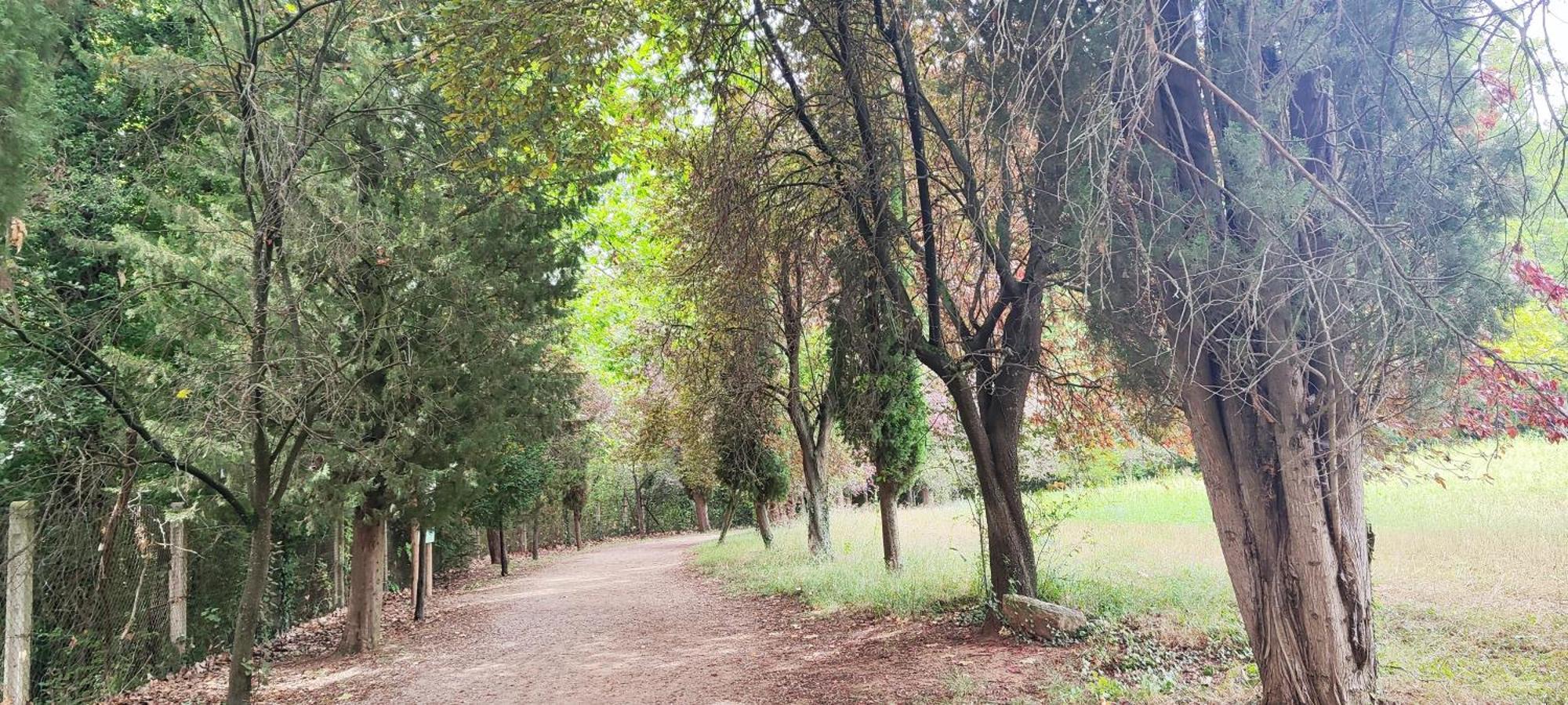 شقة Piso Rural Sol Bergueda Aviá المظهر الخارجي الصورة